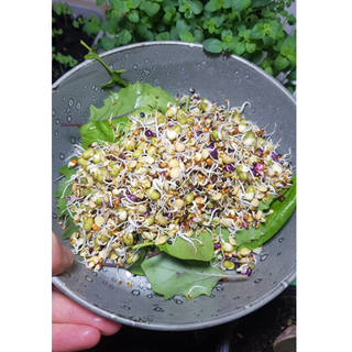 Groddjonas Ekoblandning, 500 g Eko