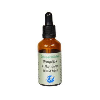 Kungsljus