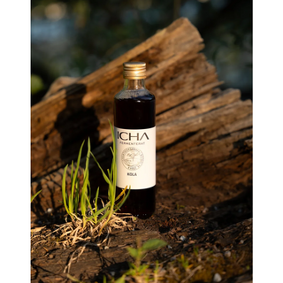 ICHA Kombucha Kola, 250 ml Eko